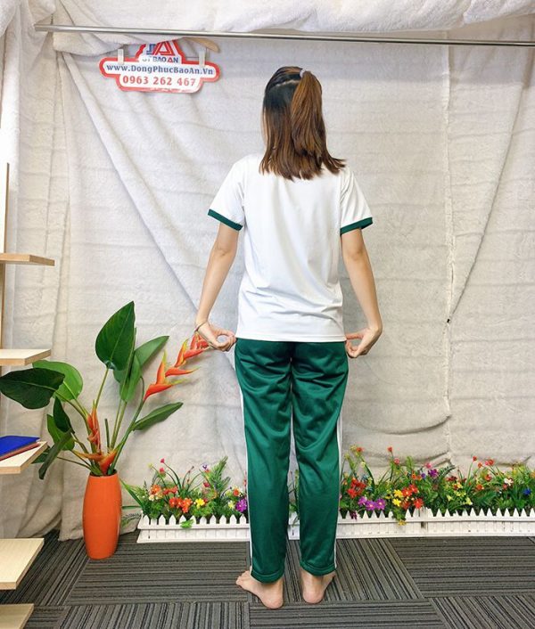 Đồng phục thể dục - Áo thun học sinh trường Nguyễn Thái Bình 012