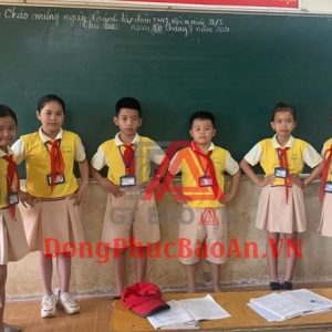 Mẫu Đồng Phục Học Sinh Trường Tiểu Học Phú Hữu 3 Theo Yêu Cầu TPHCM